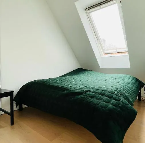 Apartmentincopenhagen 1481 Daire Kopenhag